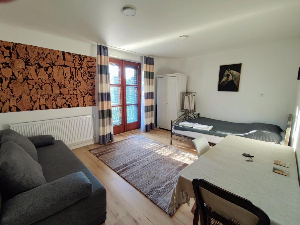 Homestay Goscinne Gorski Szlak *